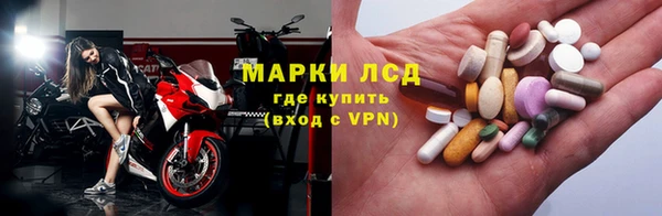 ПСИЛОЦИБИНОВЫЕ ГРИБЫ Дмитров