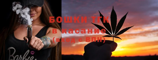 ПСИЛОЦИБИНОВЫЕ ГРИБЫ Дмитров
