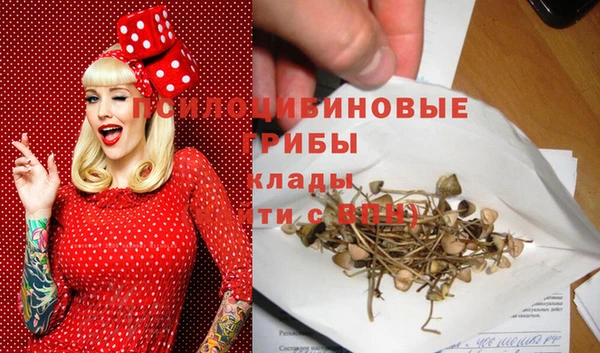 кокаин перу Дмитриев