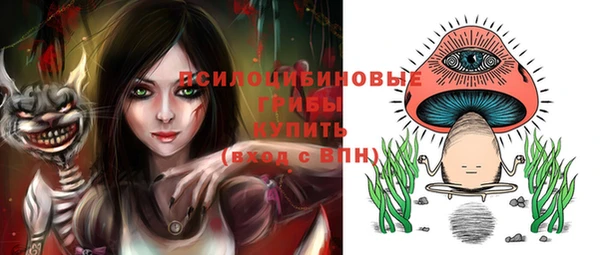 кокаин перу Дмитриев