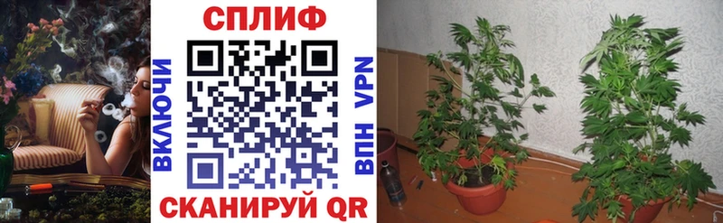 Канабис LSD WEED  Купить  Курчалой 